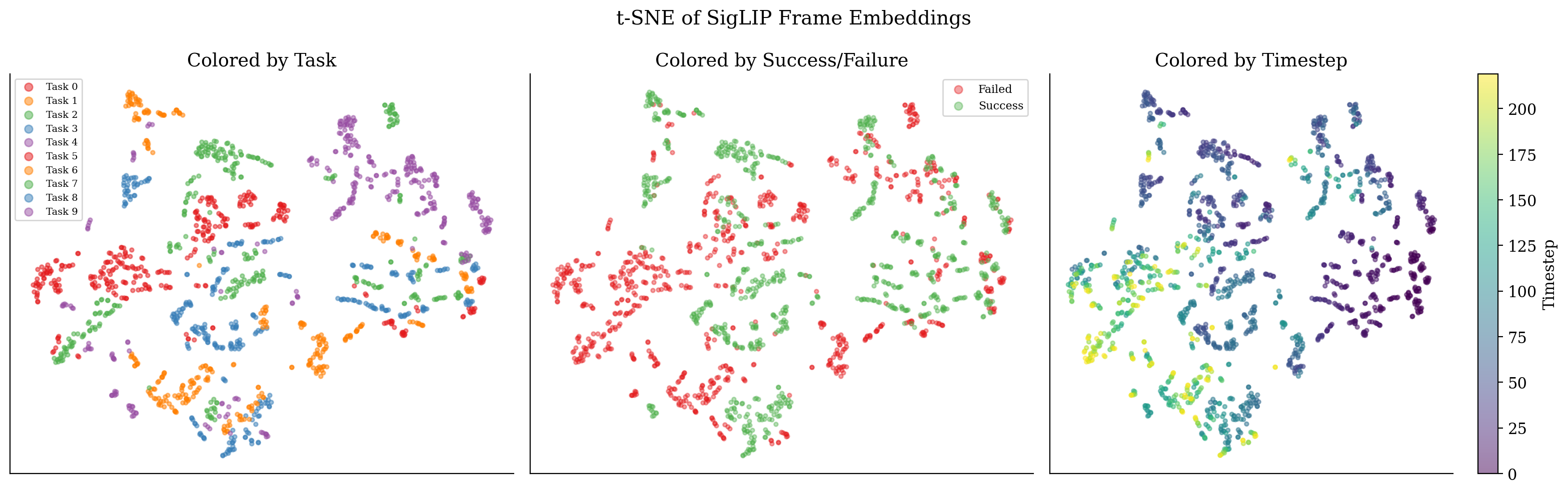 t-SNE of SigLIP embeddings